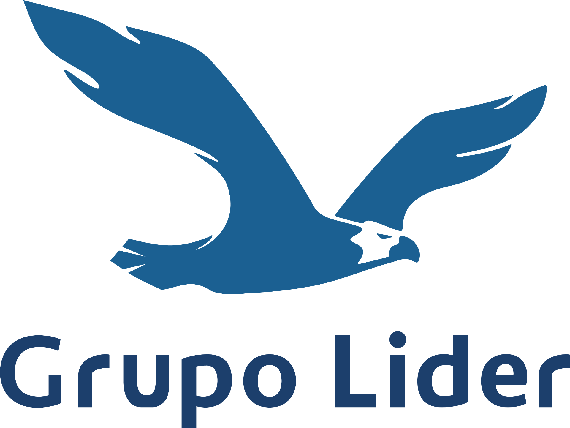 Grupo Líder